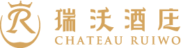 西安應龍網絡科技有限公司LOGO